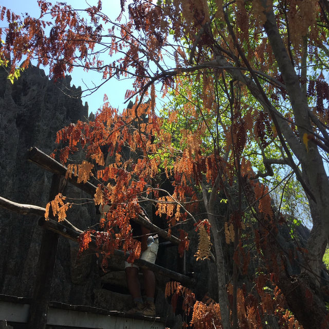 走進另一個世界｜Tsingy De Bemaraha National Park