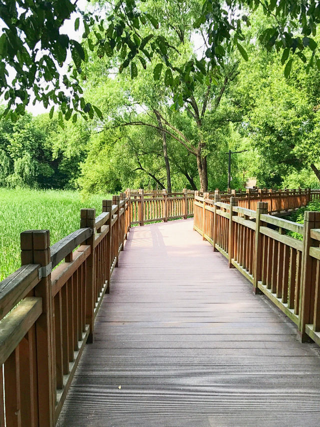 首爾景點｜首爾兒童大公園免費參觀動物園💜