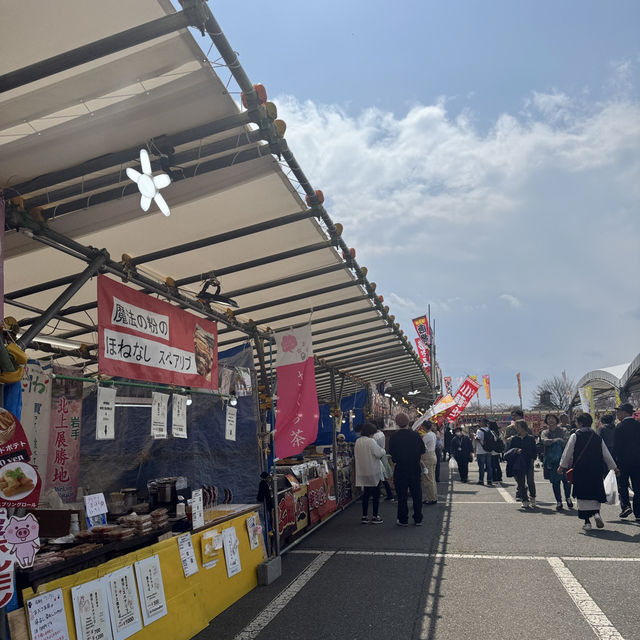 【岩手】この季節に見たい絶景🌸2025