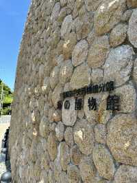 【千葉】房総の海の自然が学べる施設