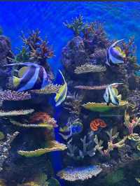 Underwater world langkawi
