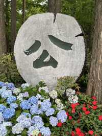 Snapdragons & Serenity: Spring Stroll in Taiziwan Park