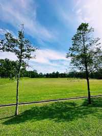 Embrace Nature at Tasik Titiwangsa Park