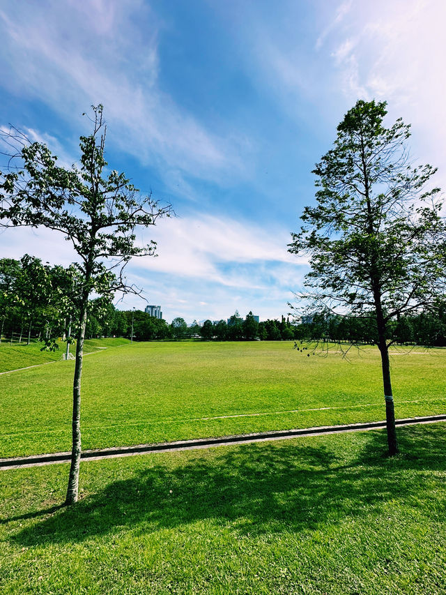 Embrace Nature at Tasik Titiwangsa Park