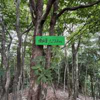 🌲【木梶山】⛰️ まつさかイレブン