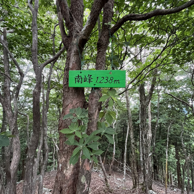 🌲【木梶山】⛰️ まつさかイレブン