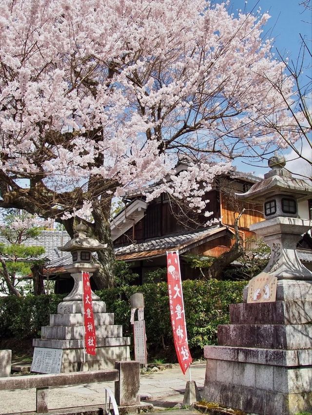 A Tiny Kyoto Shrine Hides Two of the Most Beautiful Cherry Blossom Trees