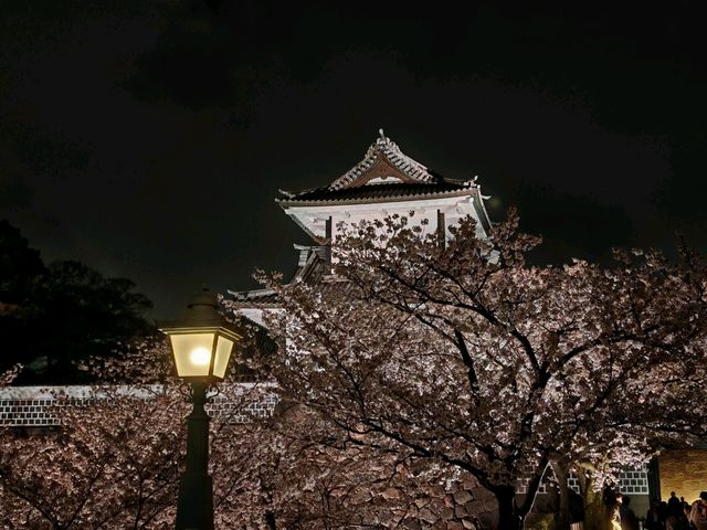 Sakura in Kanazawa - the hidden gem