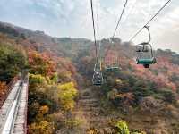 รีวิวกำแพงเมืองจีนด่าน Mutianyu 🇨🇳