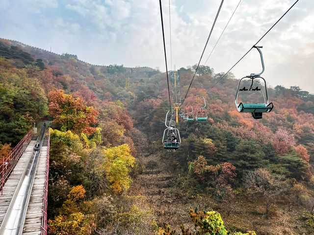 รีวิวกำแพงเมืองจีนด่าน Mutianyu 🇨🇳