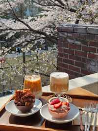 お店の中に桜がある!?桜を見ながらくつろげるカフェ🌸