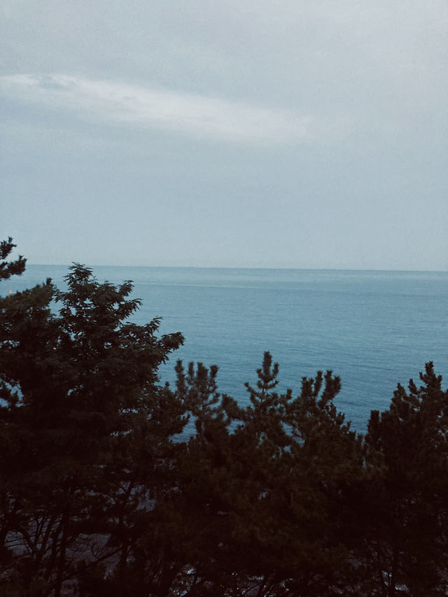 부산 간다면 꼭 타야 할 기차