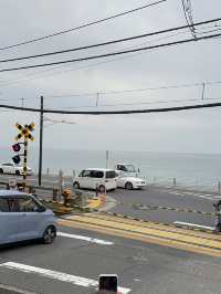 Tokyo thrills, Fuji chills 