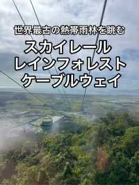 【オーストラリア】日本では絶対見れない圧巻の景色！スカイレール・レインフォレスト・ケーブルウェイ