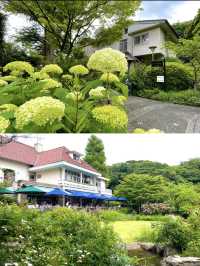 【鎌倉】浄明寺内にある大人気洋館カフェ