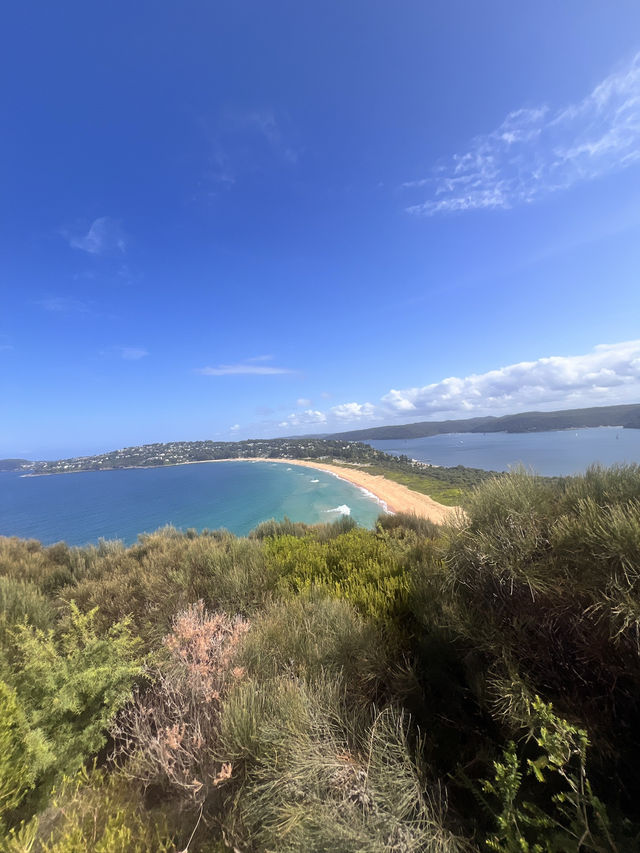 Trip to palm beach