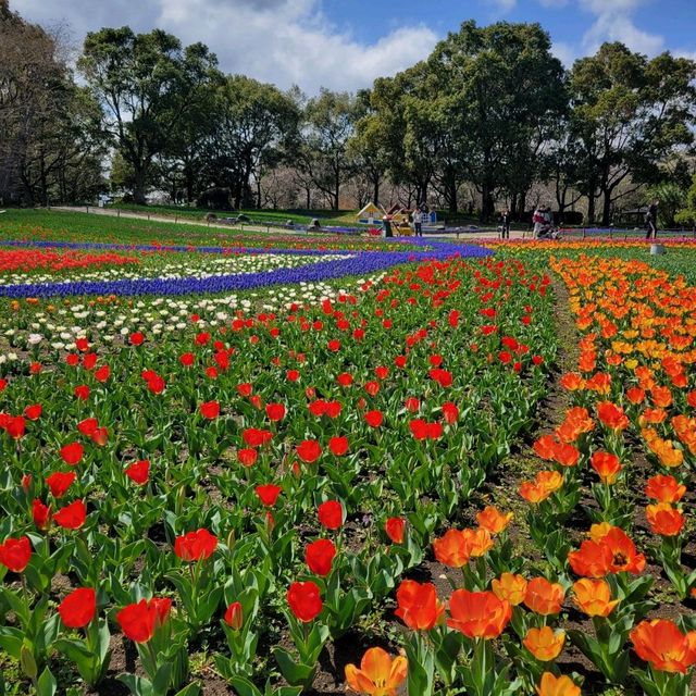 【岐阜】木曽三川公園