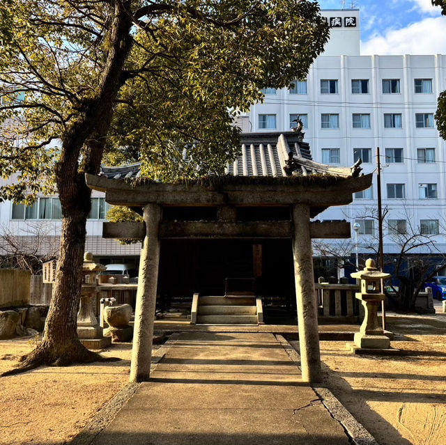 🇯🇵【愛媛県】朱塗りの鳥居が華やか！別宮稲荷神社⛩️^ ^