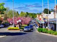 My Serene Weekend Getaway in the Blue Mountains 