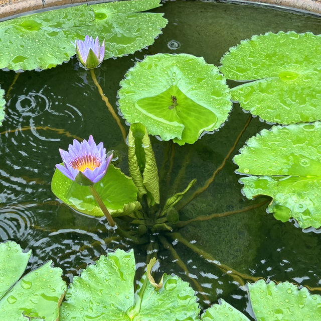 マカオ旅行
