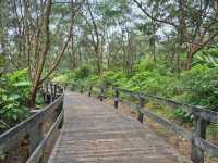 Yangmingshan is Taipei’s wild side