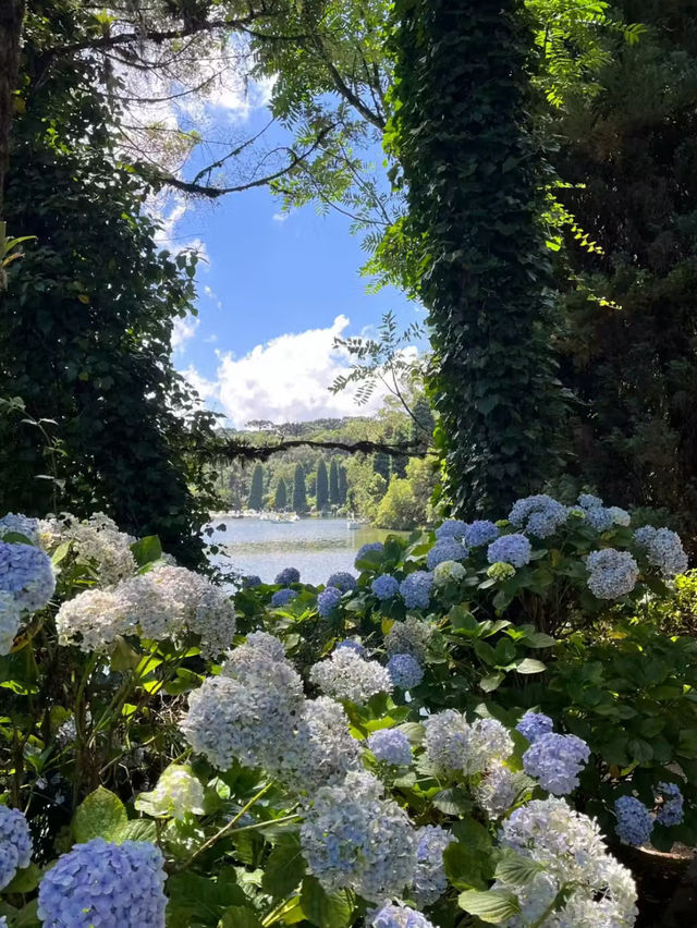 봄 여행📍그라마도, 브라질 - 브라질의 마법 도시 ✨