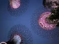 Gardens by the Bay: A Futuristic Oasis in the Heart of Singapore