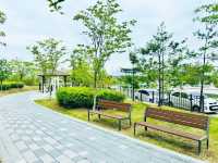 A Park for Everyone: Gungri’s Charm