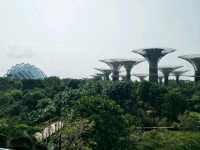 #濱海灣花園Gardens By The Bay-新加坡