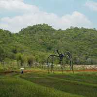 % ARABICA • Khaoyai Art Forest, Khaoyai  🌳🪵🌸🌨🌾