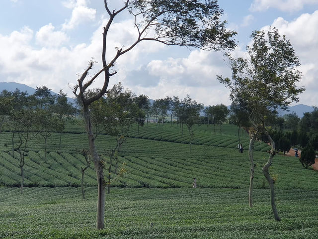 Bảo Lộc