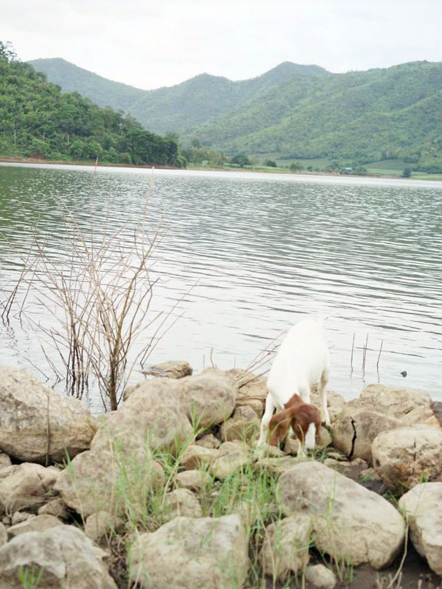 นอนโดมริมน้ำใกล้เขา ใกล้ชิดธรรมชาติที่ลำตะเพิน 