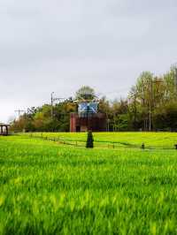 Boryeonara academy farm
