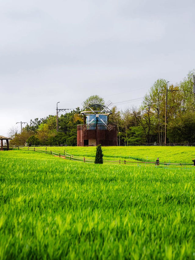 Boryeonara academy farm