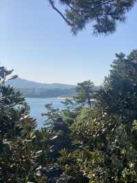 Jeju Daepo Jusangjeollidae: Coastal Columns of Wonder