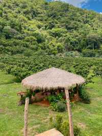 คาเฟ่เขาใหญ่ท่ามกลางภูเขา🌳🪵