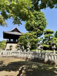 A Chill Weekend in Myogadani, Bunkyo City, Tokyo