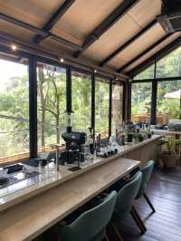 คาเฟ่ในป่าภูเก็ต