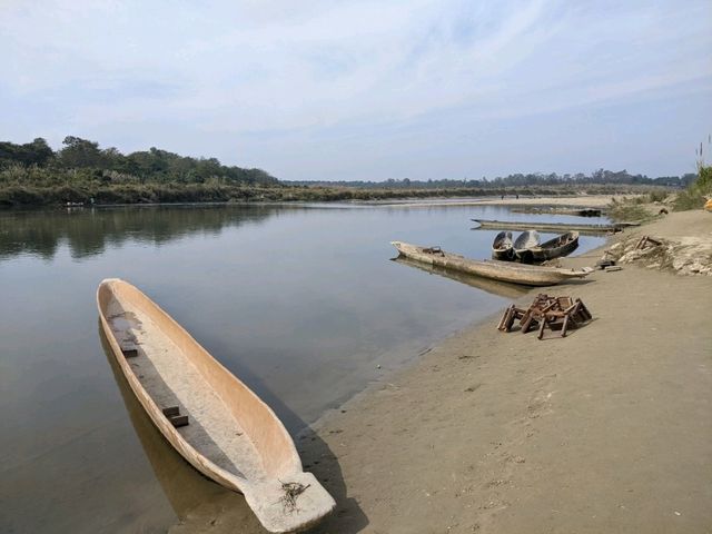 【ネパール🇳🇵】チトワン国立公園でジープサファリ