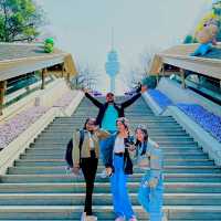 Daegu: Korea’s Secret Spring Sanctuary