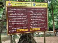 น้ำตกกะเปาะ ชุมพร