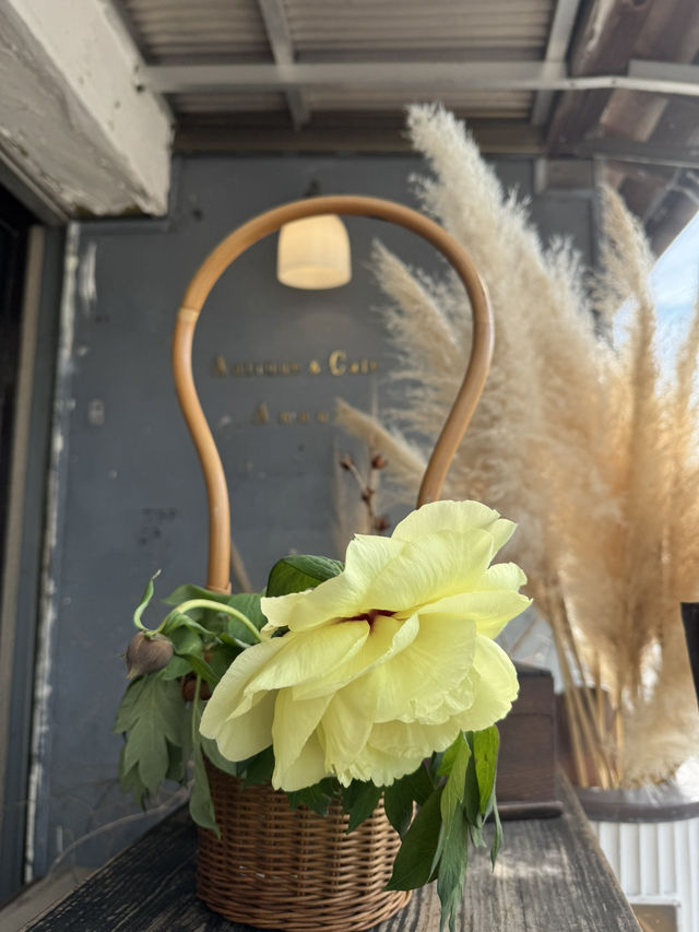 【福岡グルメ】日々お客さんで賑わうセルフリノベーションした古民家カフェ☕️