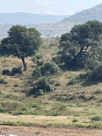 Day Trip Itinerary for Nelspruit