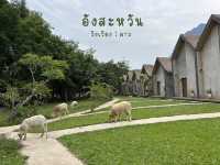ที่พัก อังสะหวัน วังเวียง วิวหลักล้าน งบหลักร้อย