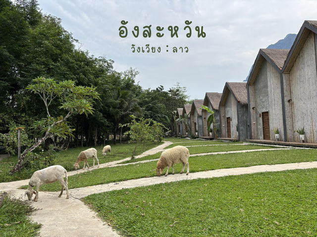 ที่พัก อังสะหวัน วังเวียง วิวหลักล้าน งบหลักร้อย