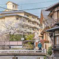 Japan – Where Trains Glide Through Pink Seasons