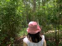 ไปเที่ยวอุทยานแห่งชาติภูเวียงกัน