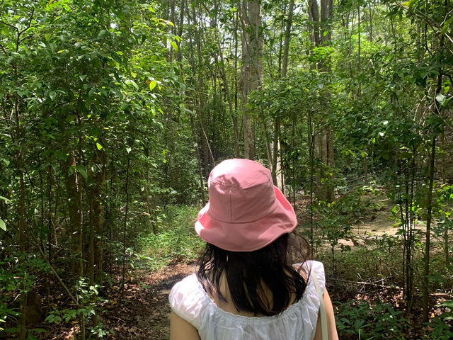 ไปเที่ยวอุทยานแห่งชาติภูเวียงกัน