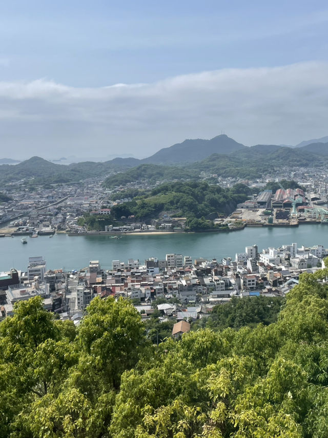 風鈴聲中眺望尾道大橋-千光寺