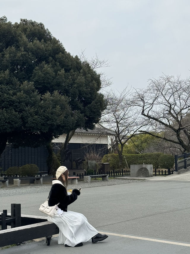 Kumamoto castle in japan 🇯🇵